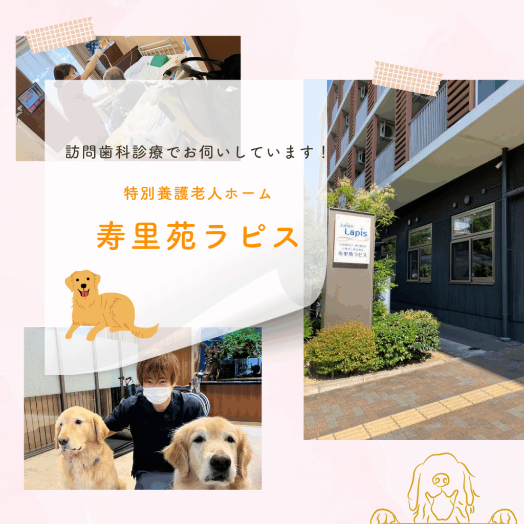 訪問歯科診療で伺っている寿里苑ラピス