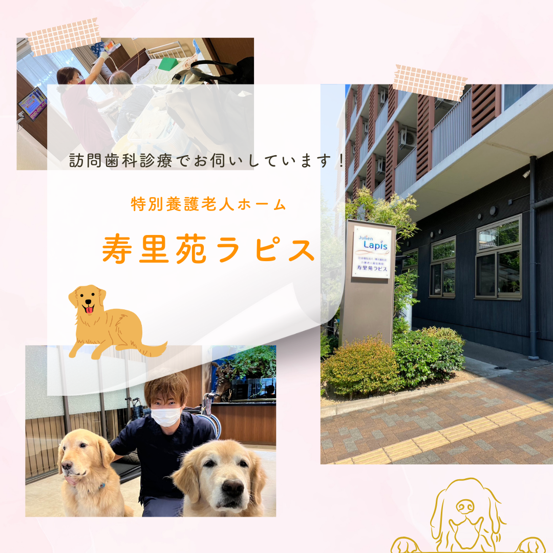 訪問歯科診療で伺っている寿里苑ラピス