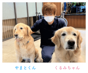 寿里苑のやまとくんとくるみちゃん