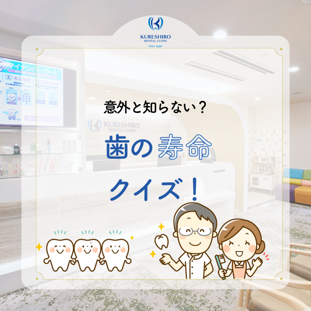 歯の寿命クイズ！