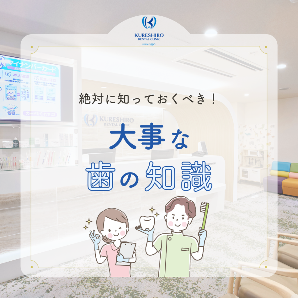 絶対に知っておくべき！大事な歯の知識