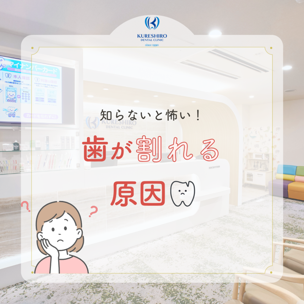 知らないと怖い！歯が割れる原因