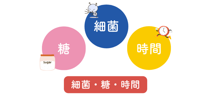 むし歯のでき方